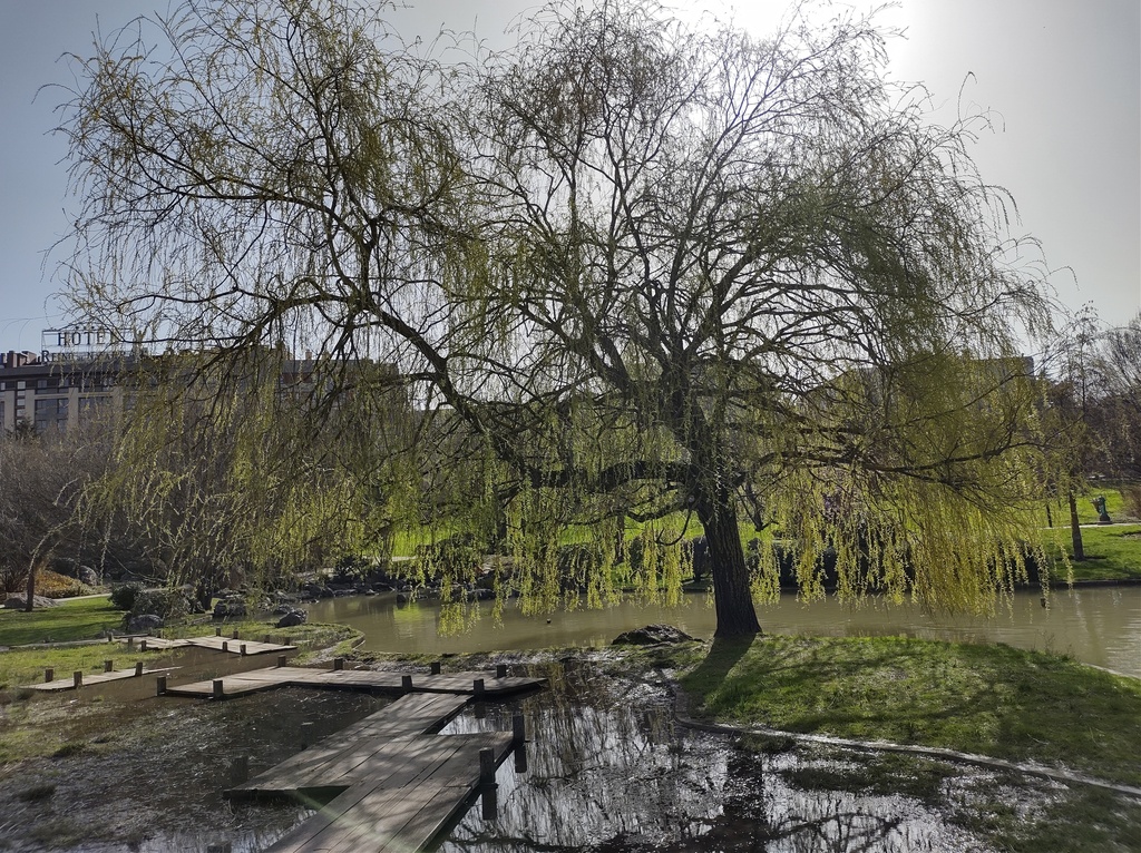 No s'ha  trobat l'arxiu